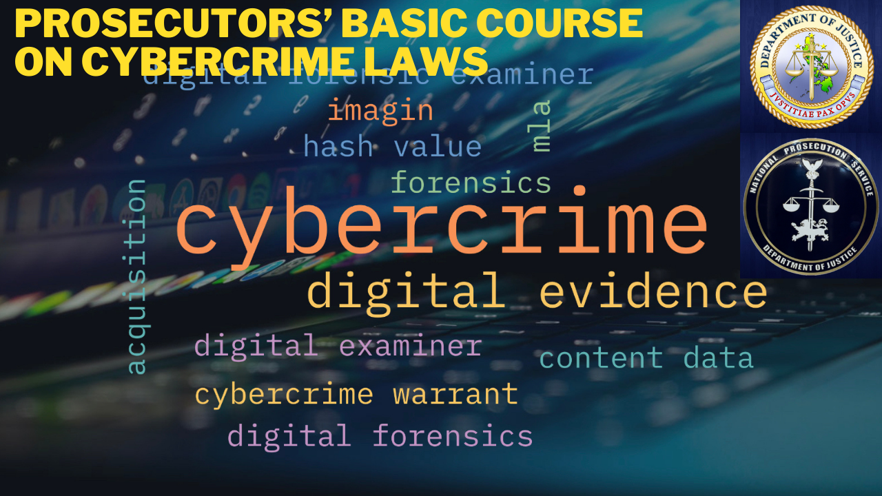 Basic Course on Cybercrime Laws